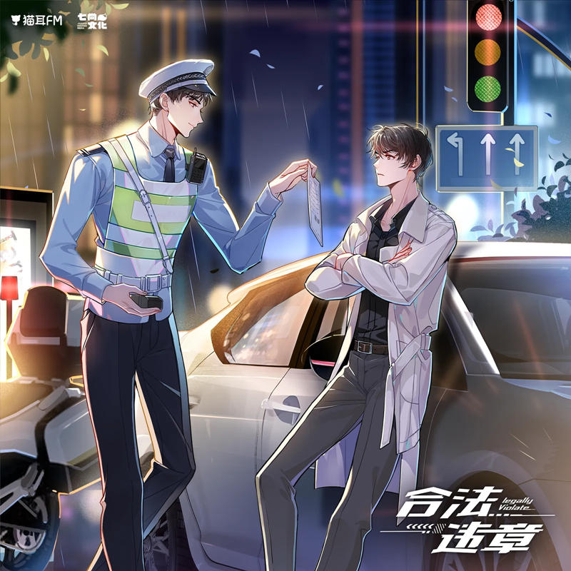 《合法违章》